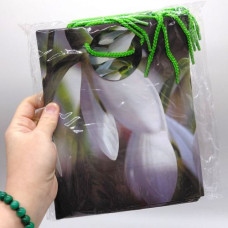 Пакет бумажный 5 шт в упаковке 18х23х10 см