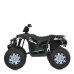 Детский электромобиль Квадроцикл M 6060EL-2(24V) до 35 кг