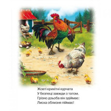 Книга о животных "Свійські тварини", укр