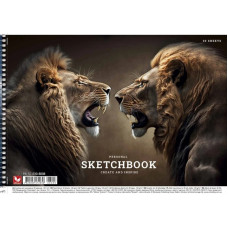 Альбом для рисования PB-SC-030-8008-1 спираль 30 листов