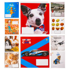 Зошит 18 арк. клітинка Люкс Мікс 1, 20 шт в упак, TE11225