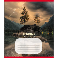 Тетрадь ученическая 