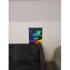 Картина по номерам "Котонавт" Картина по номерам "Котонавт"