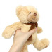 Мягкая игрушка Plush and Co медведь 22см.