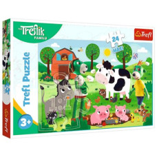 Пазлы MAXI "Семья трефлей" 24 элм