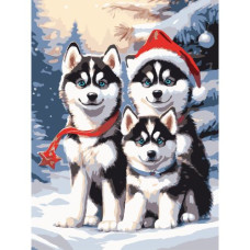 Картина по номерам "Хаски в снегу" 30х40 см
