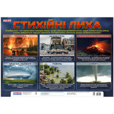 Плакат обучающий Стихийные бедствия 12104163 размер 68 x 47 см Плакат обучающий Стихийные бедствия 12104163 размер 68 x 47 см