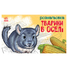 Детская раскраска 