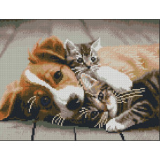 Алмазная мозаика без подрамника 