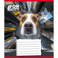 Тетрадь ученическая Тетрадь ученическая