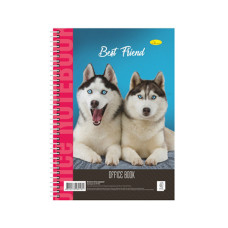 Блокнот для записей Б-Л4-40-5, 40 листов, клетка, пружина сбоку