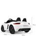 Детский электромобиль Bambi Racer M 4055AL-1 до 100 кг