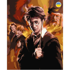 Картина по номерам "Гарри Поттер" 40x50 см
