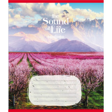 Тетрадь ученическая 