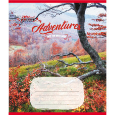 Тетрадь ученическая 