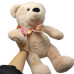 М'яка іграшка "Ведмедик Тедді ", 35 см (ПУДРОВИЙ)