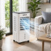 Напольный охладитель DKNS DH2025-01A 10л/3800w