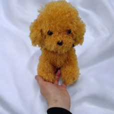 М'яка іграшка собачка Мальтіпу 24 см вид 3