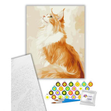 Картина по номерам "Рыжий Мэйн-кун" 40х50 см