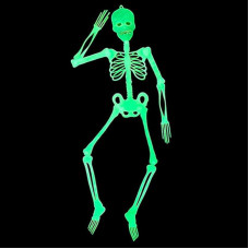 Фосфорні скелет (35 см.), MA26-50