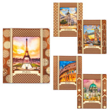 Зошит 48 арк. в клітинку ФОЛЬГА (Золото, подвійна обкладинка з "вікном", УФ-Лак),ТМ Фемілі Лайн, TE11881