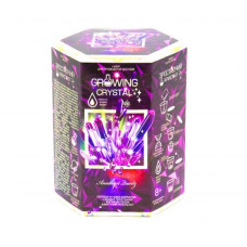 Набор для проведения опытов "Growing Crystal" (укр)