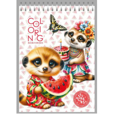 Дитяча розмальовка, з наліпками, 24234 Дитяча розмальовка, з наліпками, 24234