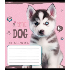 Тетрадь ученическая 