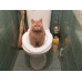 Туалет для кота Citi Kitty. Для приучения кошки к унитазу.