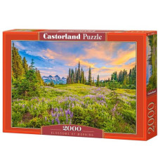 Пазлы "Утренние цветы", 2000 элементов