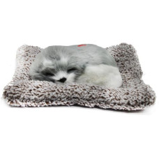 Собачка-пушистик на коврике, вид 6