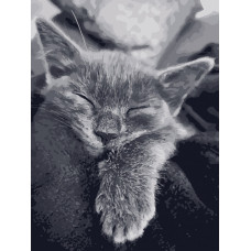 Картина по номерам. Art Craft Картина по номерам. Art Craft