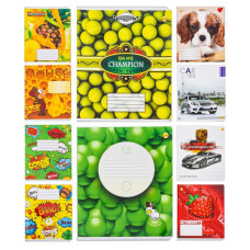 Зошит 12 арк. клітинка, з УФ-ЛАК покриттям, TE918