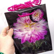 Пакет бумажный 5 шт в упаковке 18х23х10 см