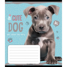 Тетрадь ученическая 