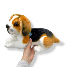 Пес Оскар 2 м