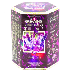 УЦЕНКА!!! Набор для опытов GROWING CRYSTAL (Amethyst) Danko Toys GRK-01-01U-UC