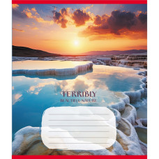 Тетрадь ученическая 