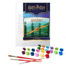 Картина по номерам с красками металлик "Harry Potter: Золотой Снитч" 40х50см